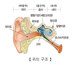메니에르병이란? 증상·원인·진단·치료·생활관리 총정리