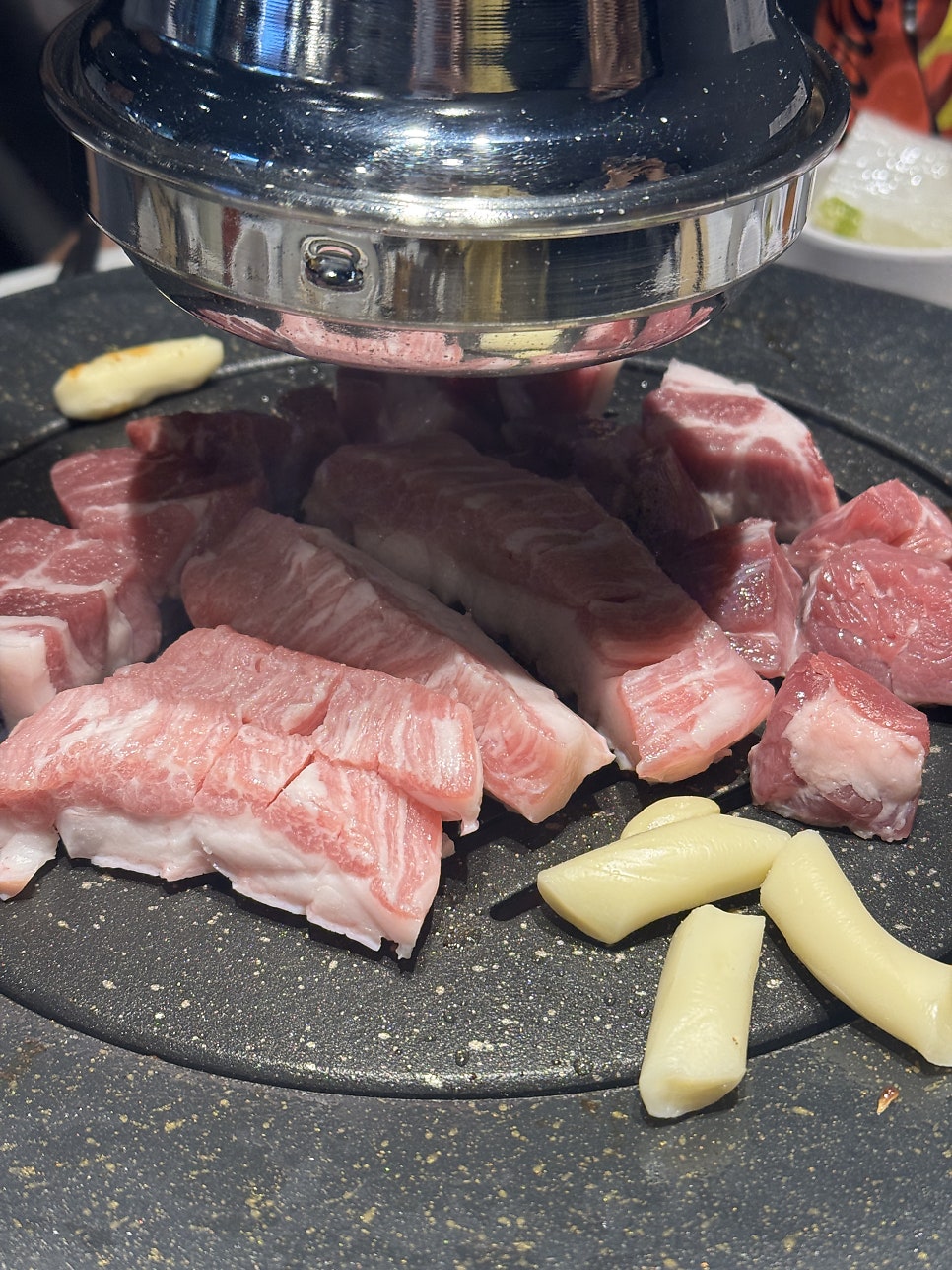 고길 사진 5