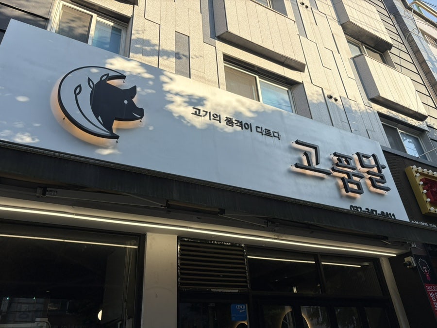 고품달 사진 2