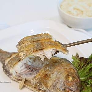 반건조생선 굽기 참돔 요리 기름튀지않게 생선구이 하는법