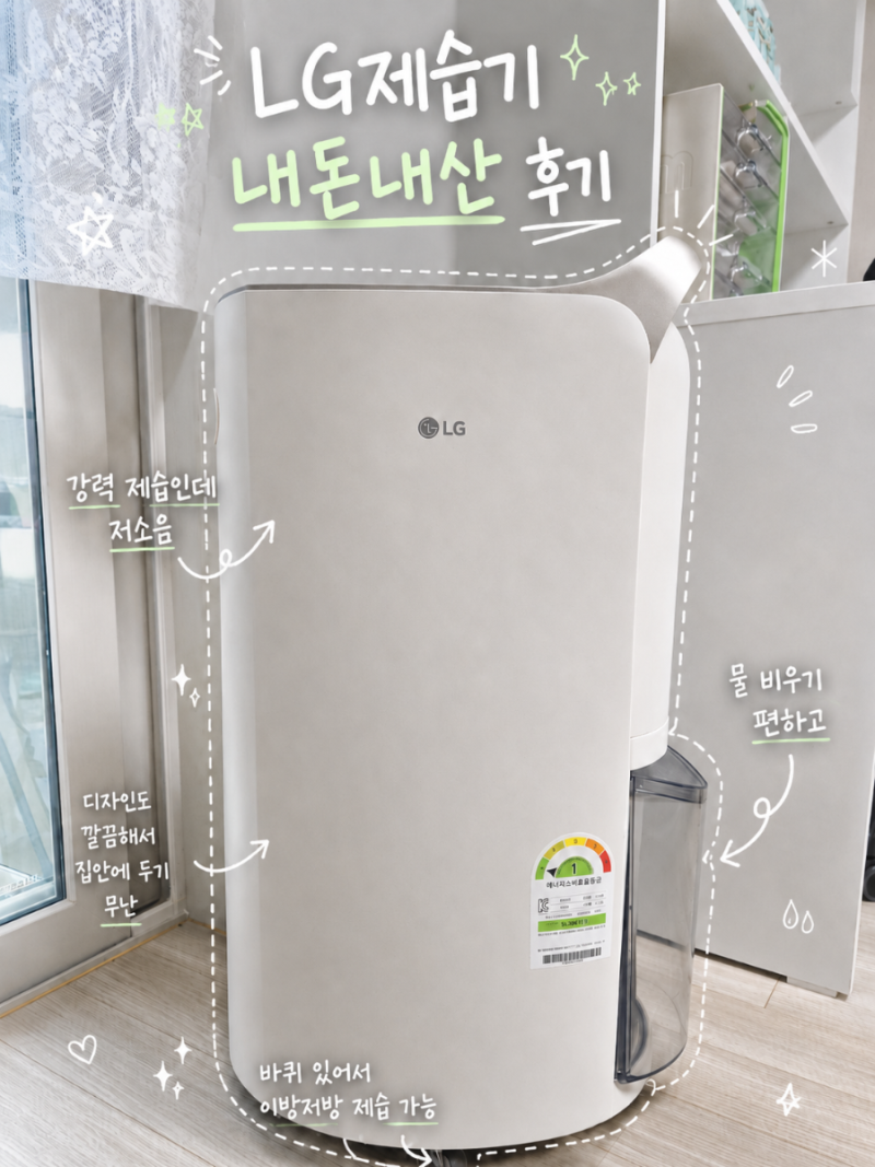 LG 제습기 20L DQ205PBBC 내돈내산 추천 후기
