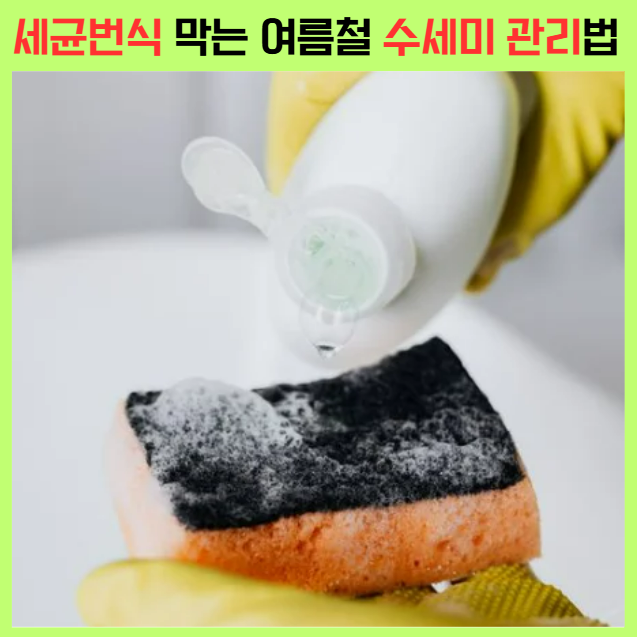 수세미도 종류가 다 다르다? 스펀지·실리콘·천연 수세미 재질별 특징·교체주기 총정리