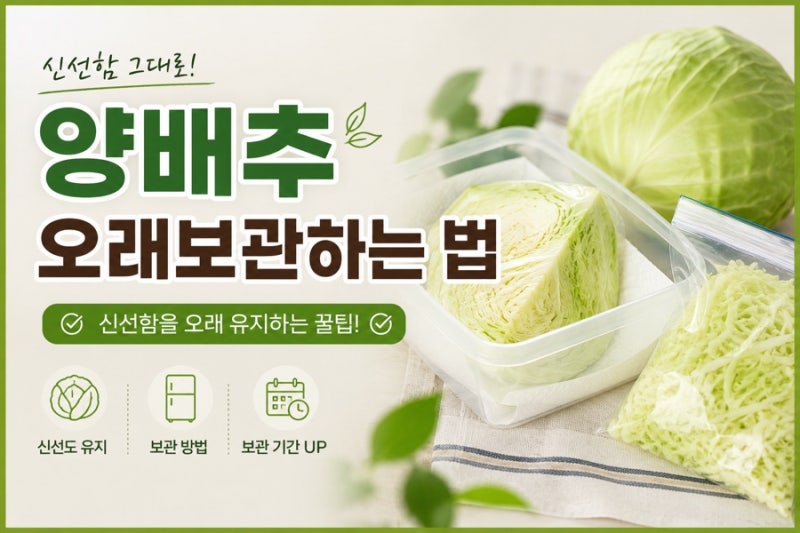 양배추 오래 보관하는 법,한 달 넘게 신선하게 유지하는 꿀팁