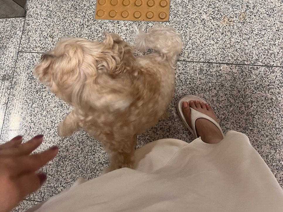 댕그린 사진 2