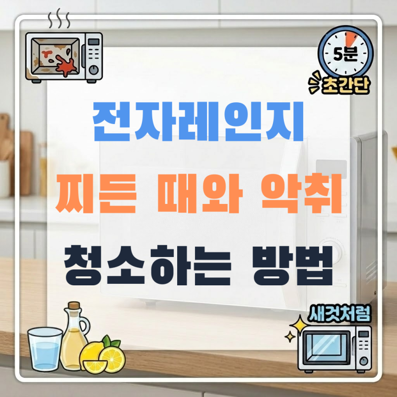 전자레인지 찌든 때와 악취 : 단 5분 만에 새것처럼 청소하는 초간단 꿀팁