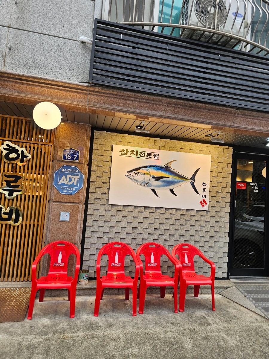 하루비 사진 1