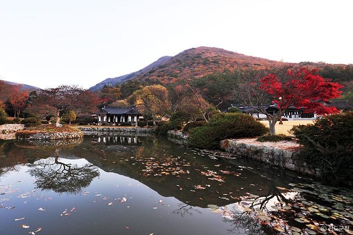 진도해넘이펜션 사진 3