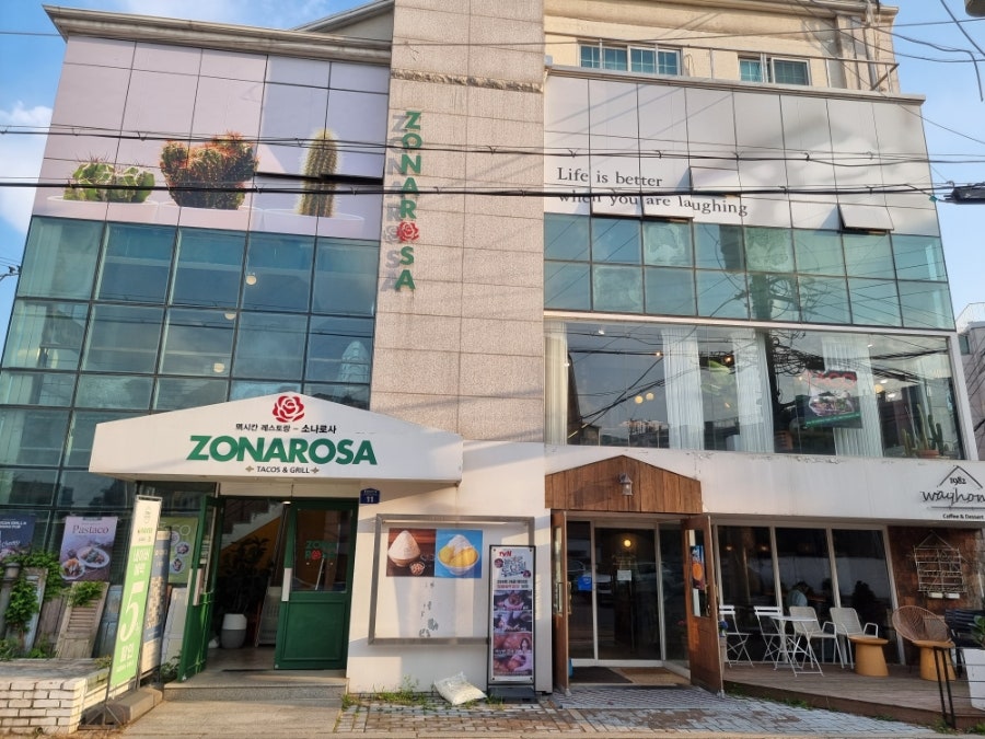 소나로사 사진 2