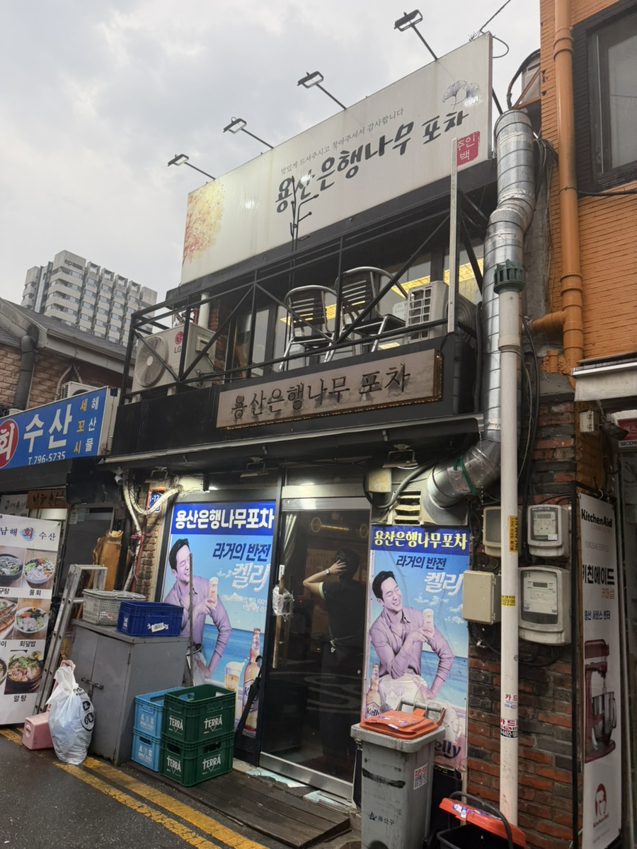 용산은행나무포차 사진 2