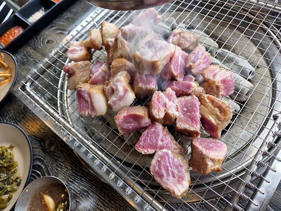 돈포레스트 사진 3