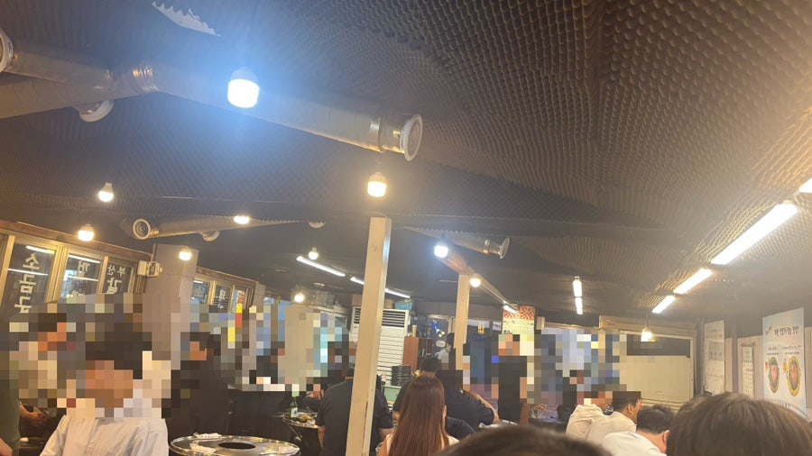 부산갈매기 사진 4