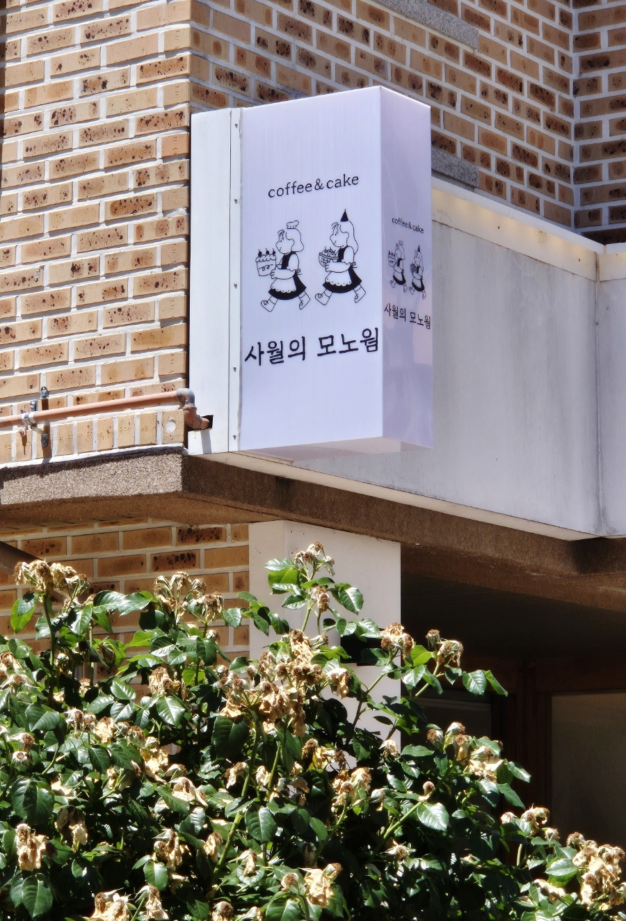 사월의 모노웜 사진 3