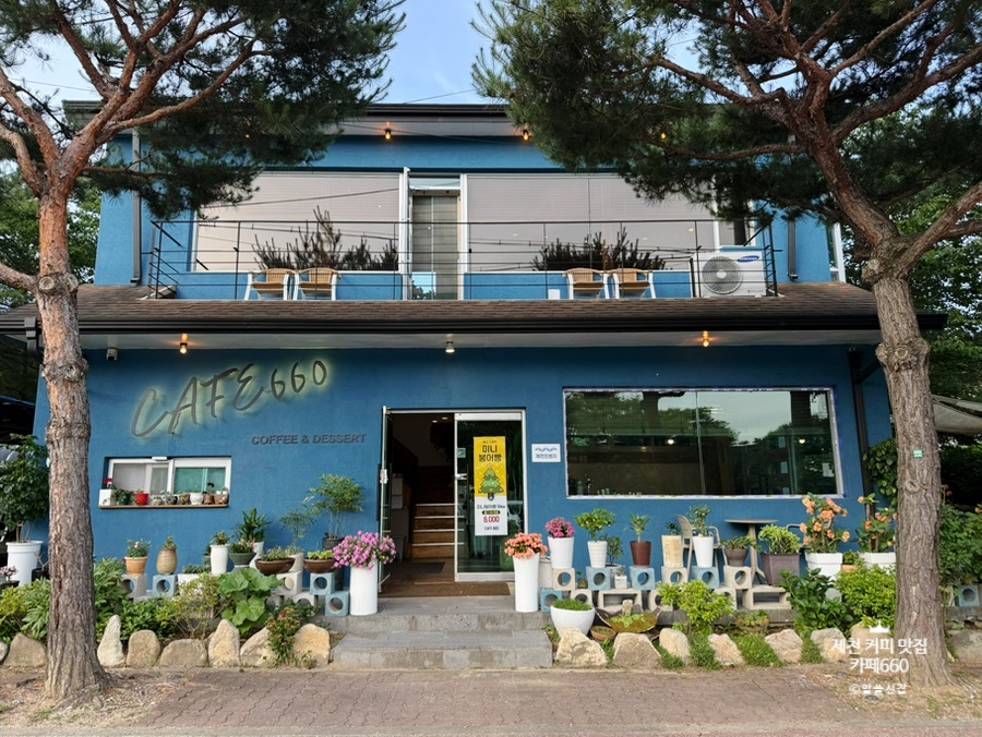 카페660 사진 2