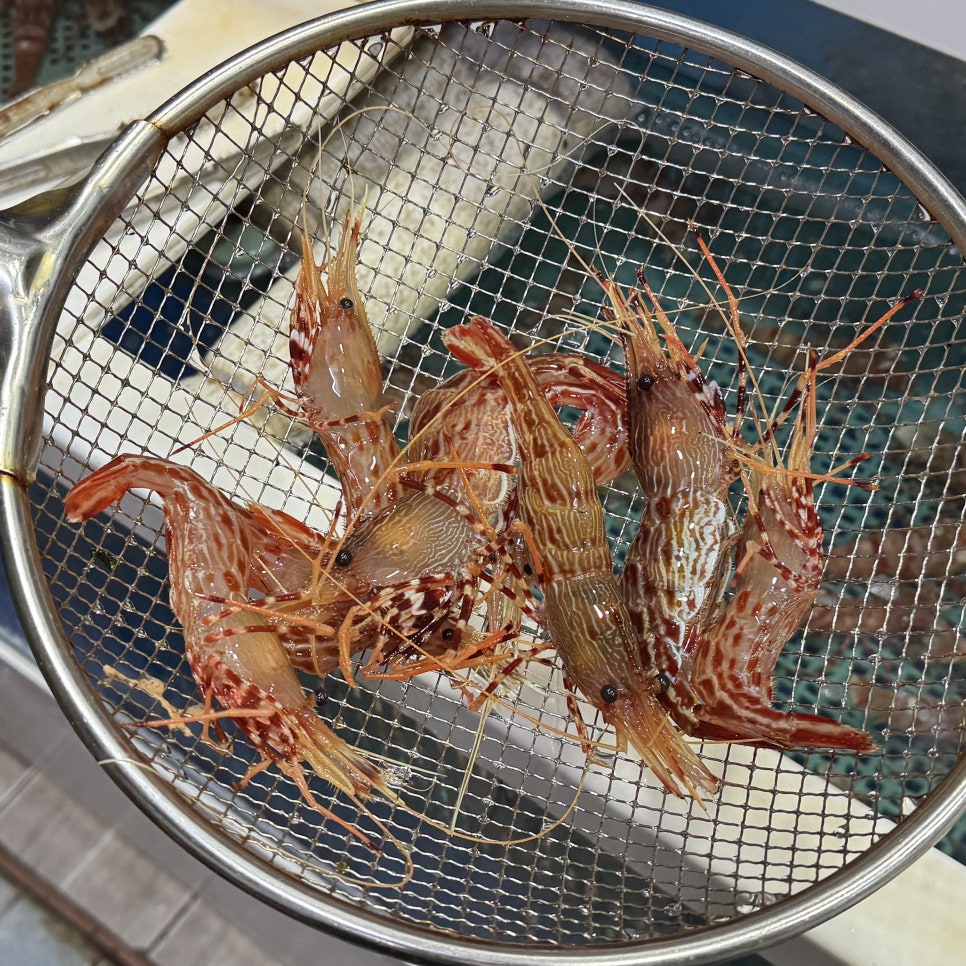 대게야새우야 사진 6