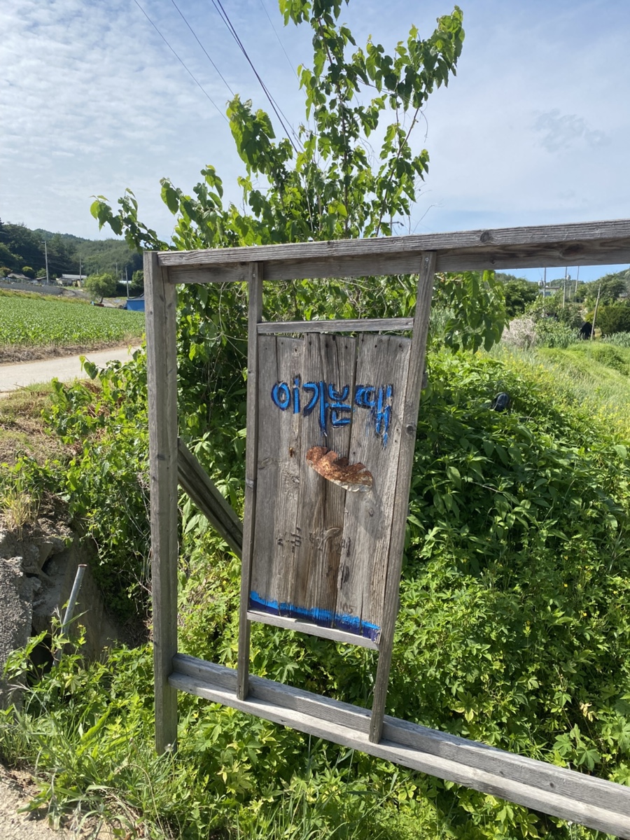 이가본때 사진 1