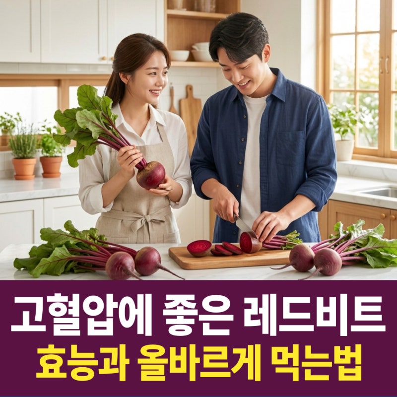 고혈압에 좋은 레드비트 먹는법, 효능, 성분, 가성비 비교 총정리