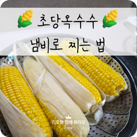 초당옥수수 찌는법 냄비로 15분만 찌면 끝 간단해요