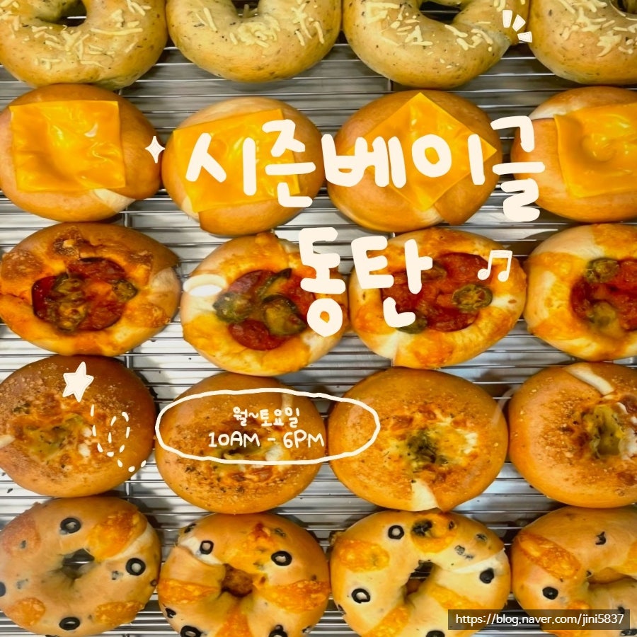 시즌베이글 사진 2