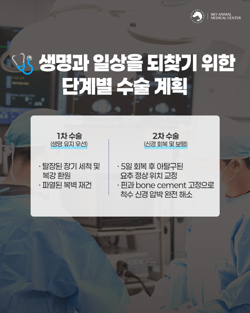 원주24시스카이동물메디컬센터 사진 5