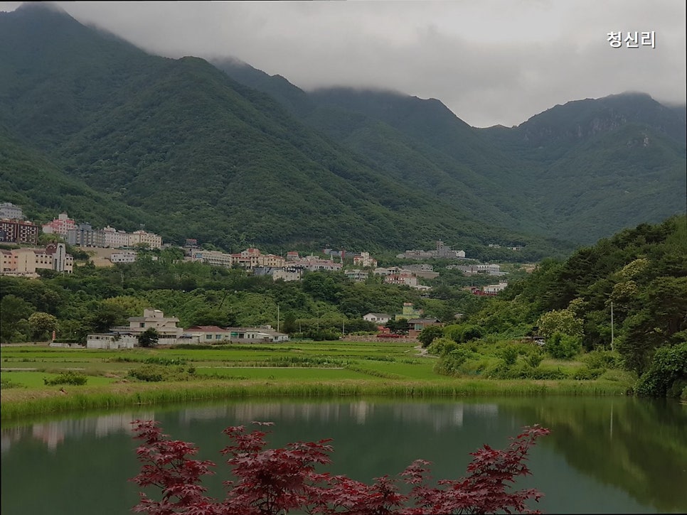 청신리 사진 6