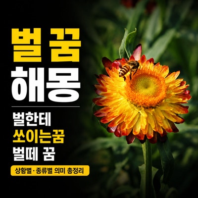 벌 꿈 해몽, 벌한테 쏘이는꿈 벌떼 꿈 상황별 종류별 의미