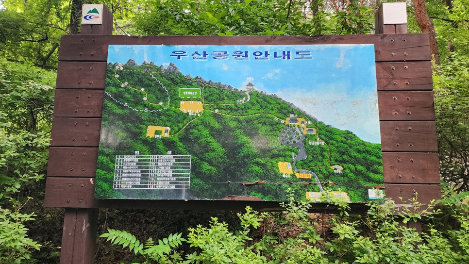 청룡정 사진 2