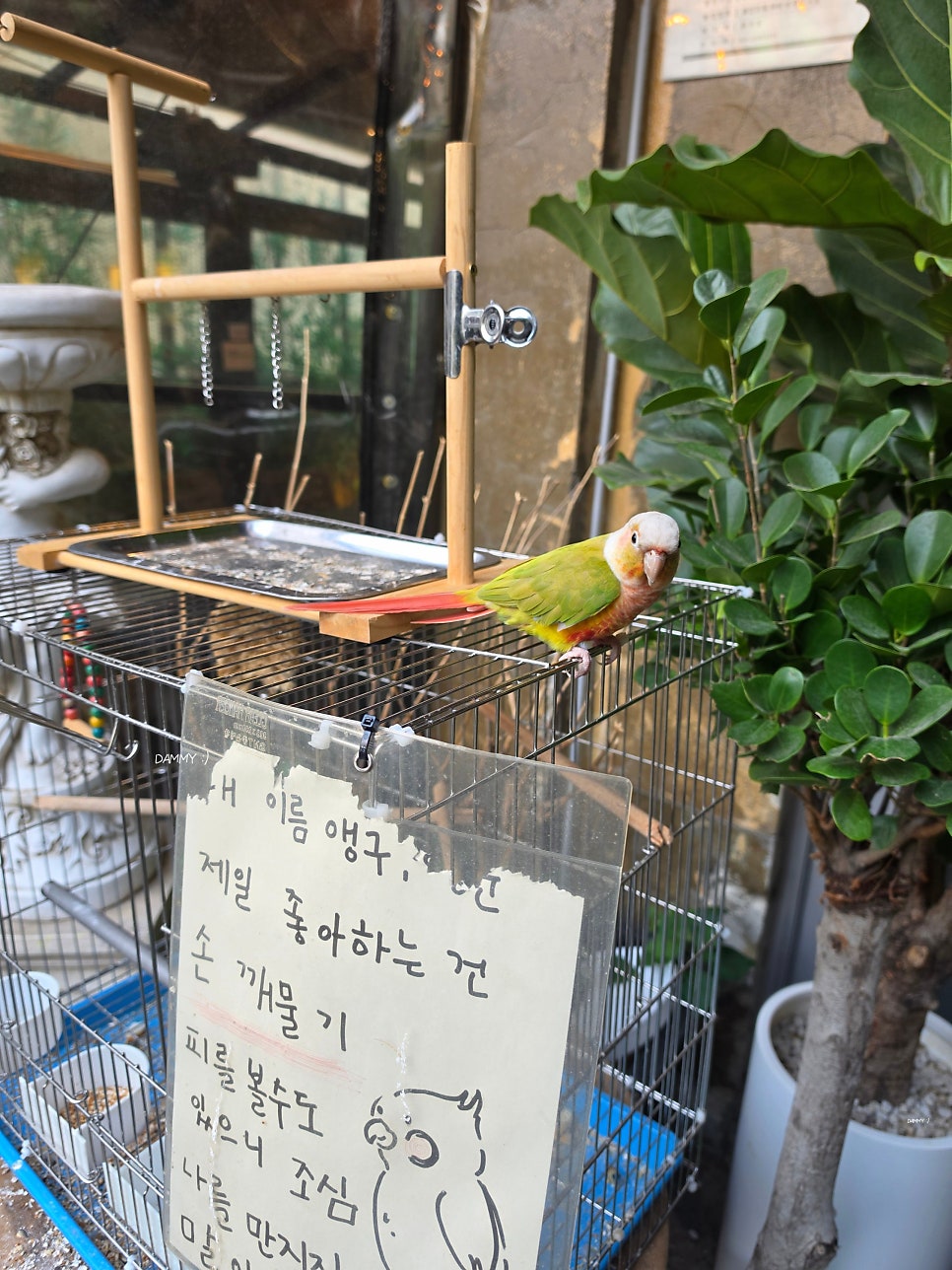 풍자네봄 사진 2