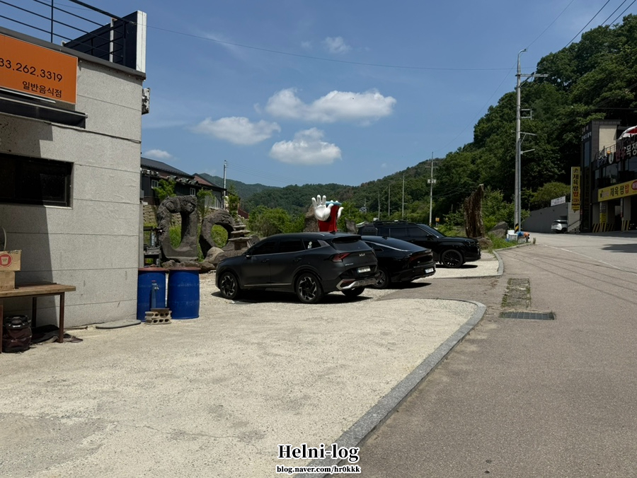 일홍 사진 4