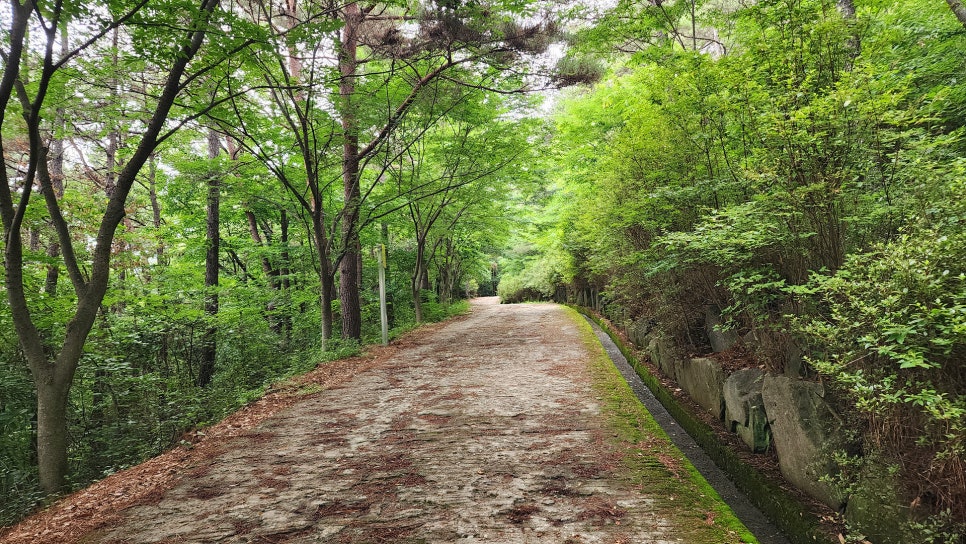 청룡정 사진 3