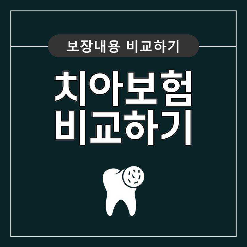 20대 30대 40대 치아보험 추천 비교 적용 보장 든든하게 챙겨서 마련하기