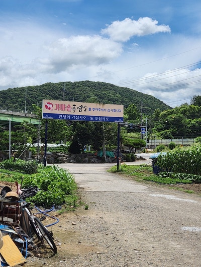 옥천염소맛집 사진 1