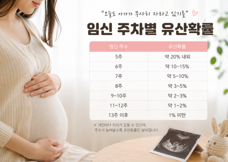 임신 주차별 유산확률 총정리, 12주 지나면 정말 안심해도 될까?