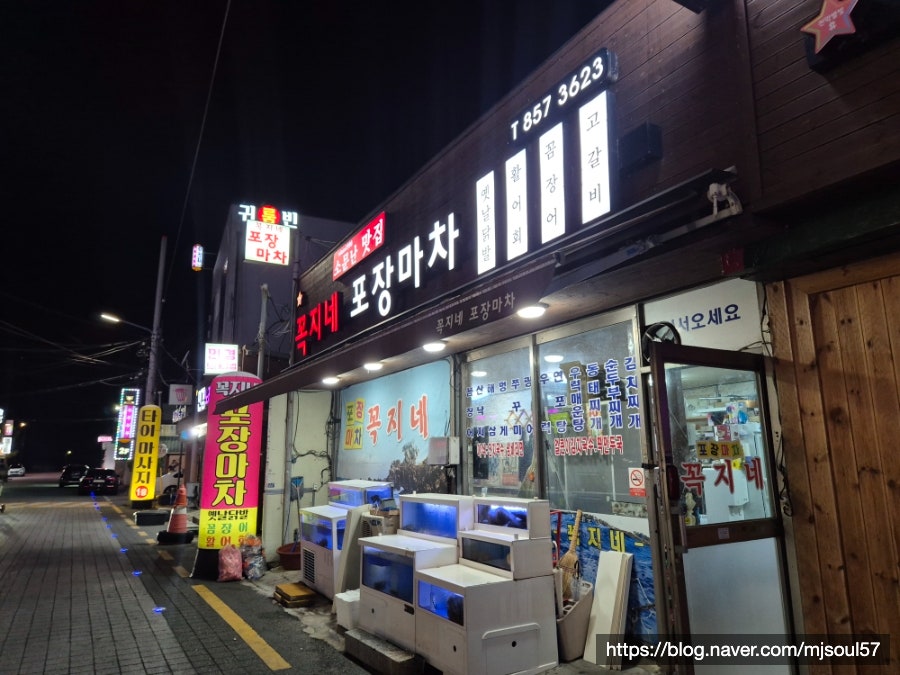 꼭지네 사진 2