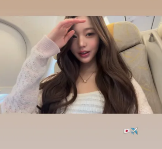 장원영 근황, 비행기 안에서도 모자·마스크 벗고 '환한 미소'…공항 특혜 논란 우아한 정면 ....