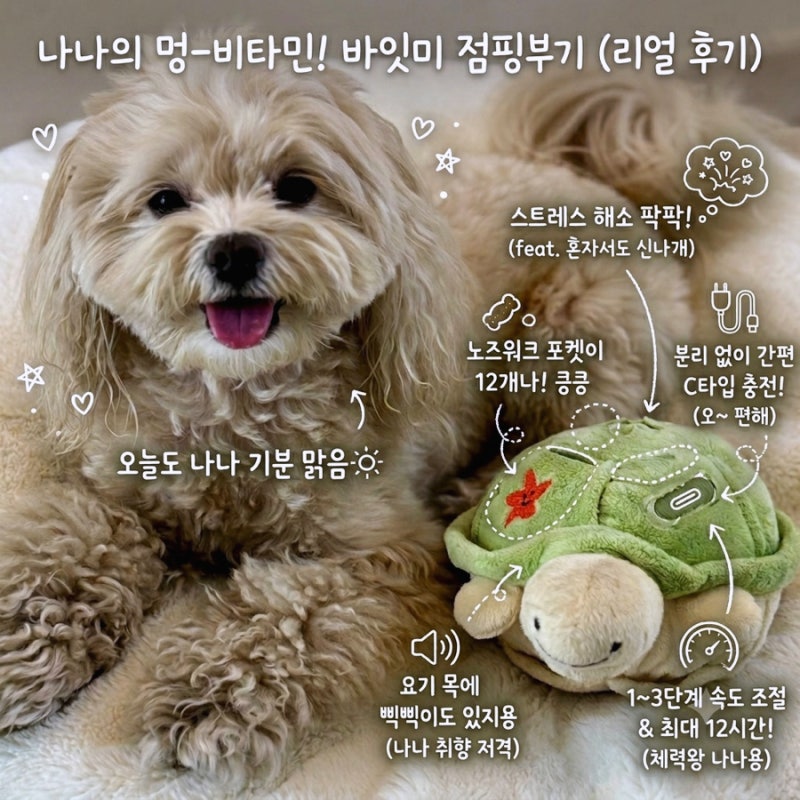 움직이는 강아지 장난감 바잇미 거북이 점핑부기 노즈워크 애견장난감 솔직 후기