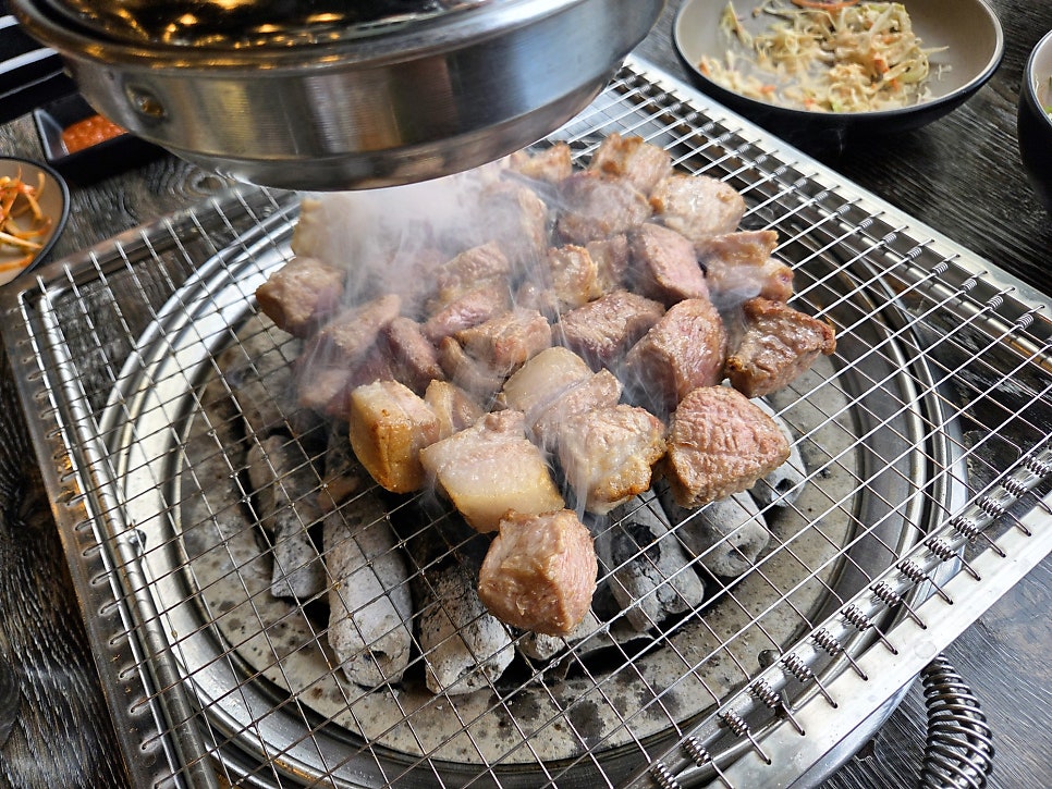 돈포레스트 사진 4