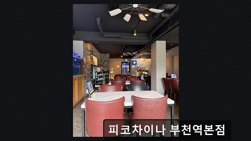 피코차이나 사진 4