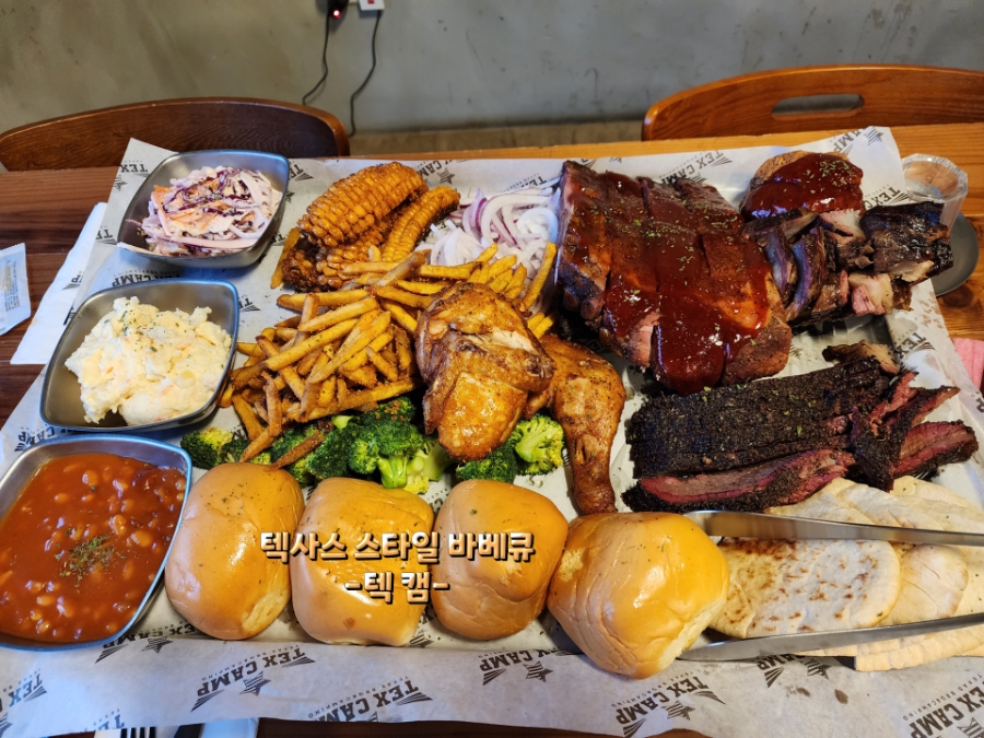 텍캠 사진 1