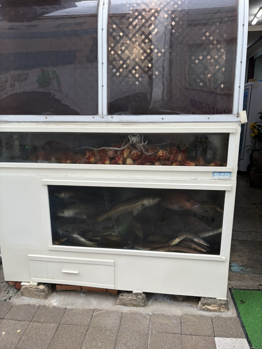 정든가 사진 2