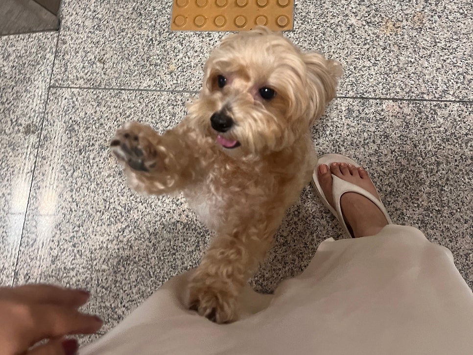 댕그린 사진 1
