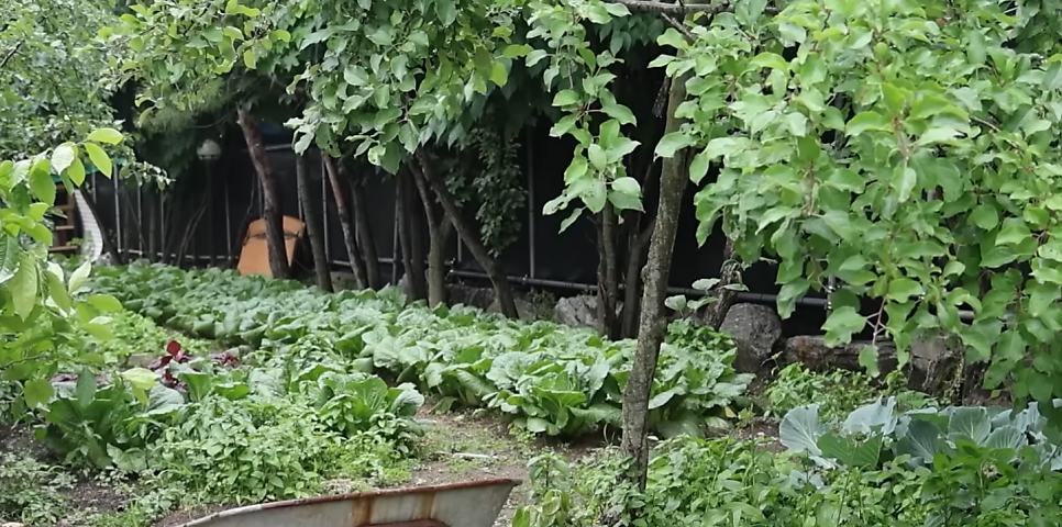 산고을 사진 5
