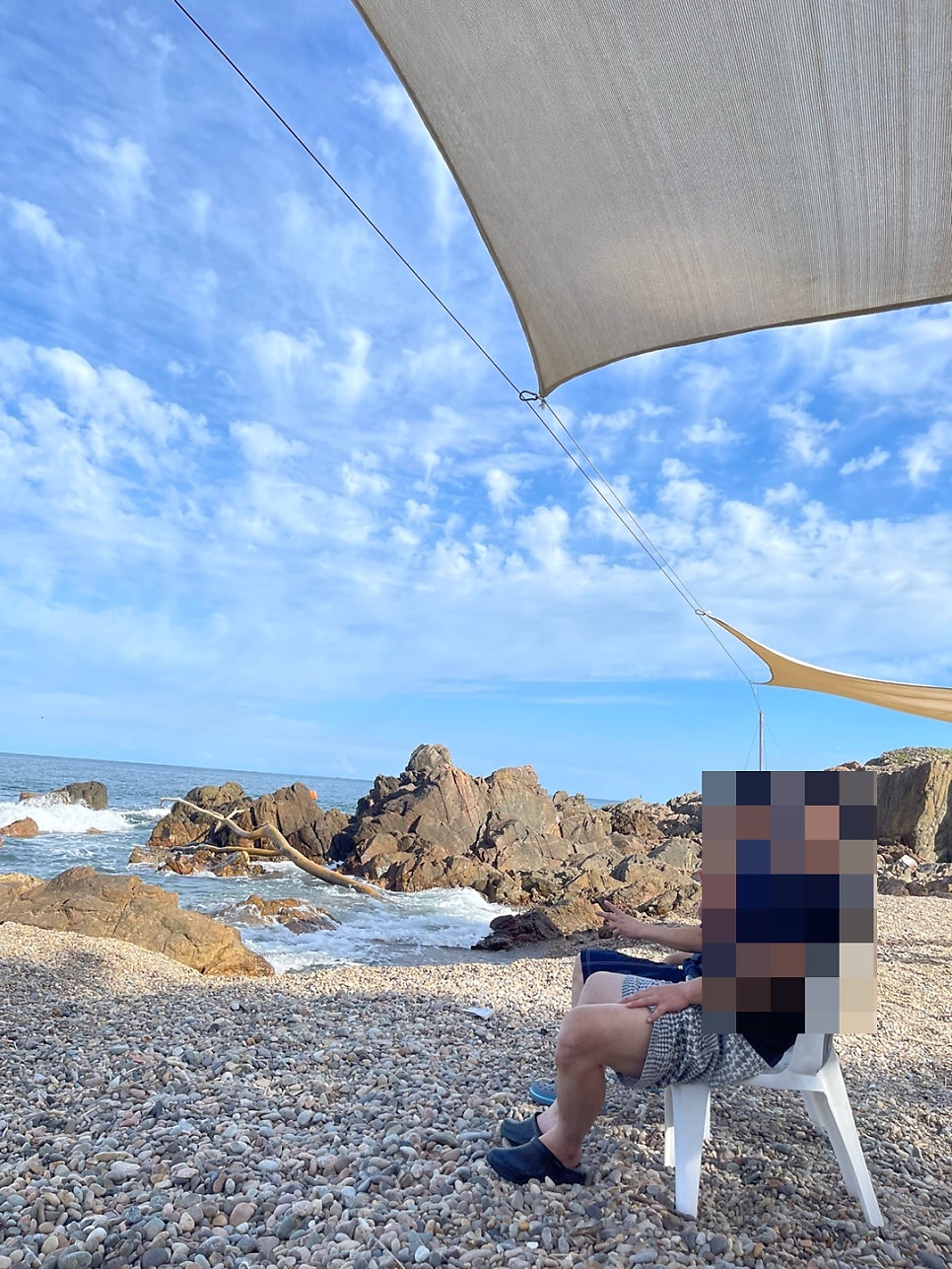 심해잠수 가잠물회 안동본점 사진 6