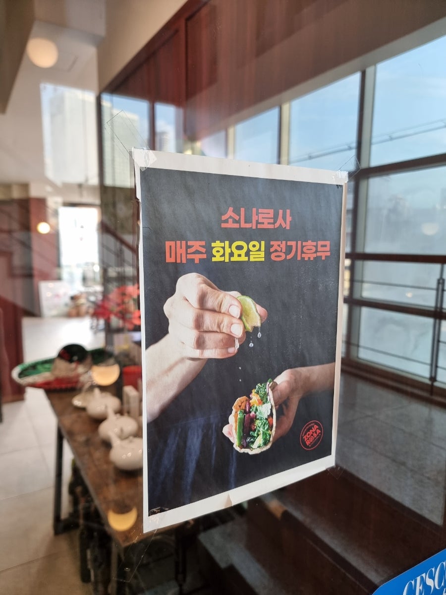 소나로사 사진 4