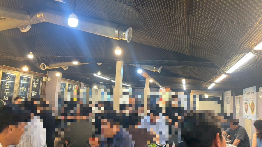 부산갈매기 사진 5