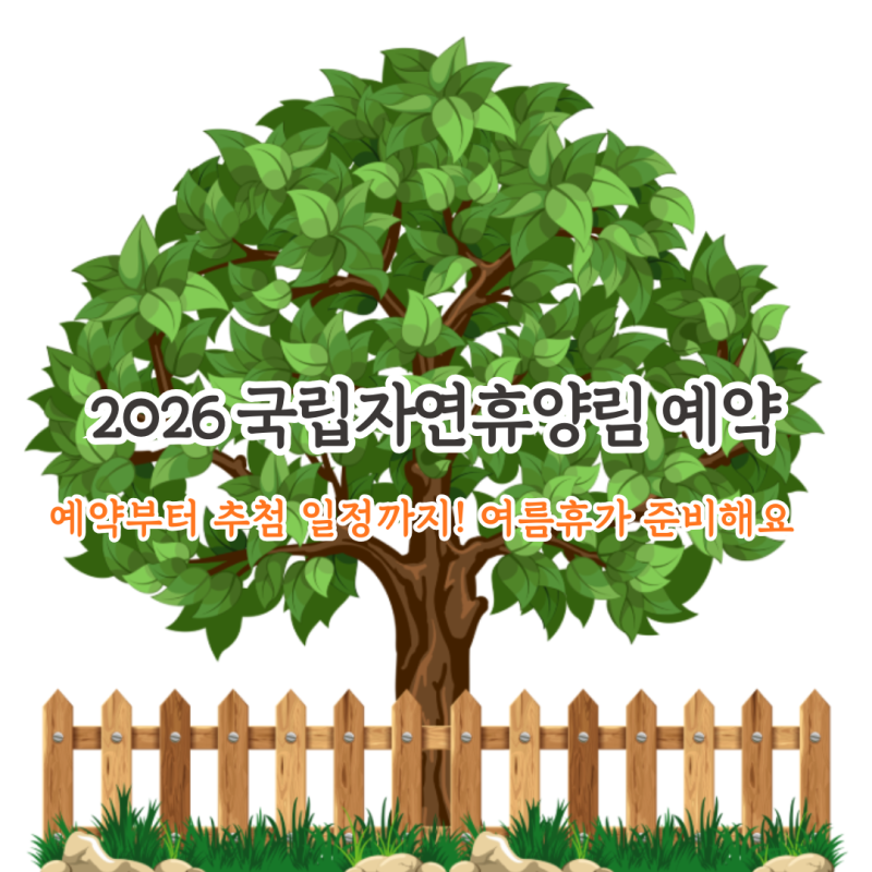 숲나들e 성수기 예약 일정 공개! 2026 국립자연휴양림 추첨 방법