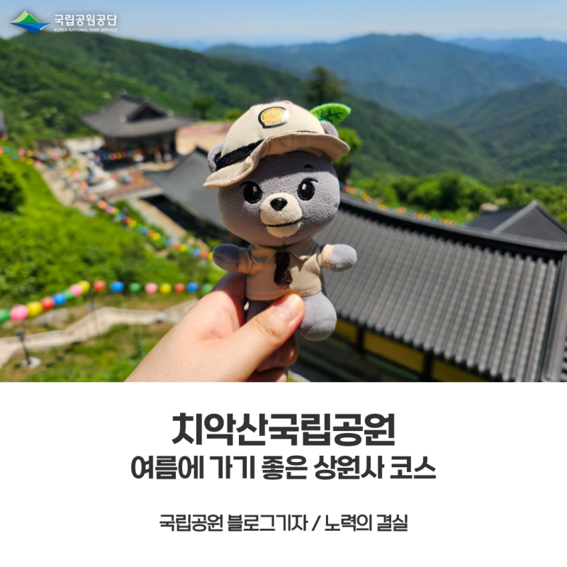 [치악산국립공원] 여름에 탐방하기 좋은 상원사 코스