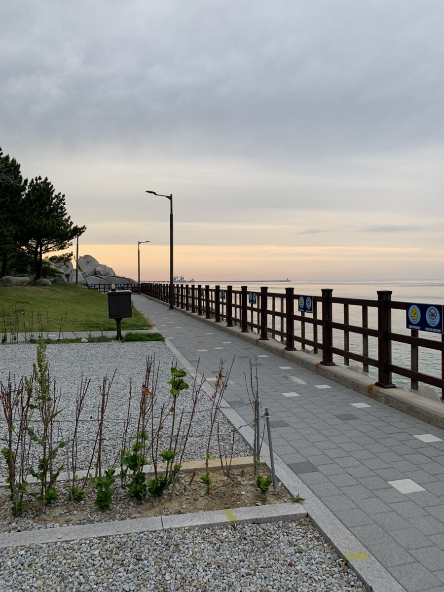 바다내음 사진 2
