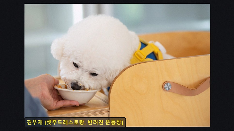 견우재 사진 3
