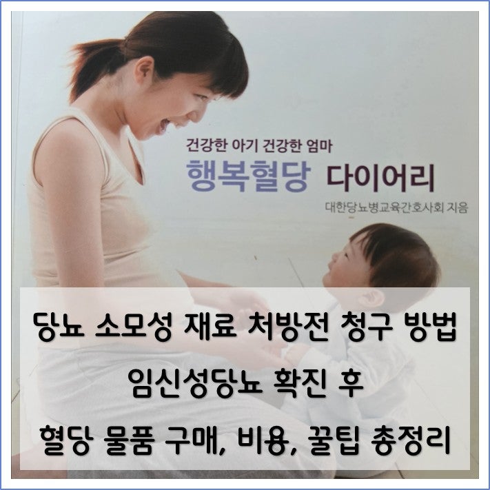 임신성 당뇨 소모성 재료 처방전 청구 방법, 구매, 비용, 꿀팁 총정리
