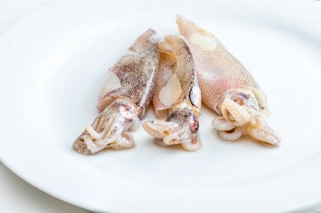 '총알오징어' 제철은 언제일까? 알고 먹으면 더 맛있는 총알오징어의 모든 것! (feat. 금지기 ....